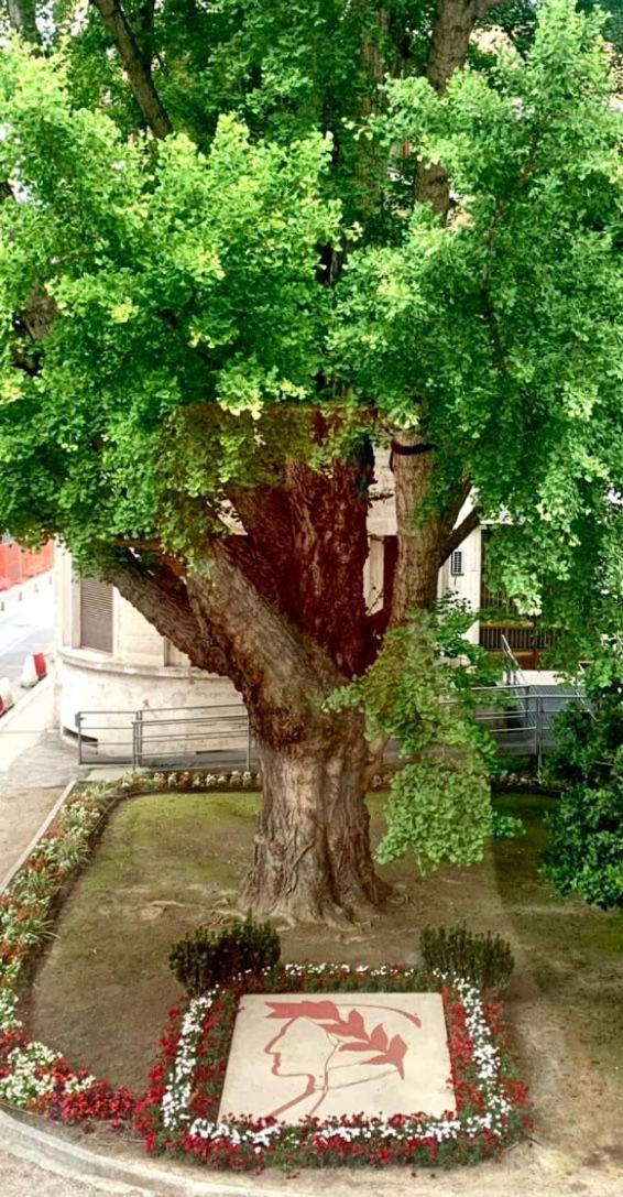 Ravenna Suite Dış mekan fotoğraf